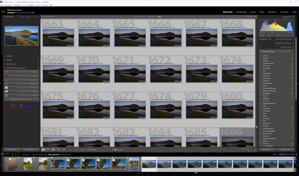 Bibliotheksfenster von Lightroom mit geladenen Vorschau-Dateien