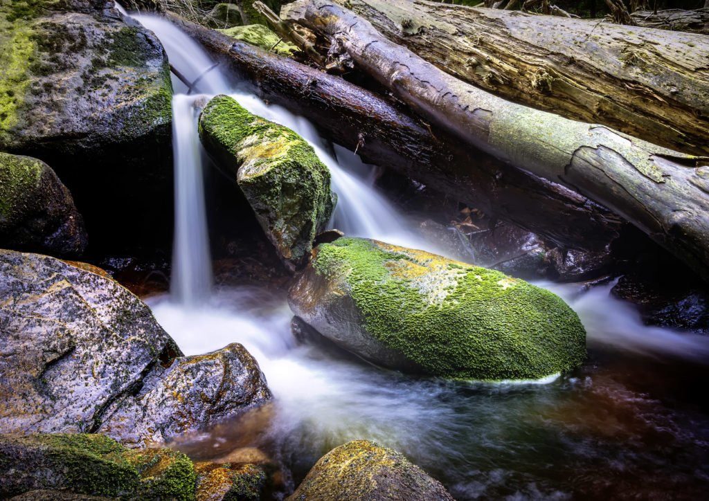000307_23022019_140440_Harzwanderung_000307