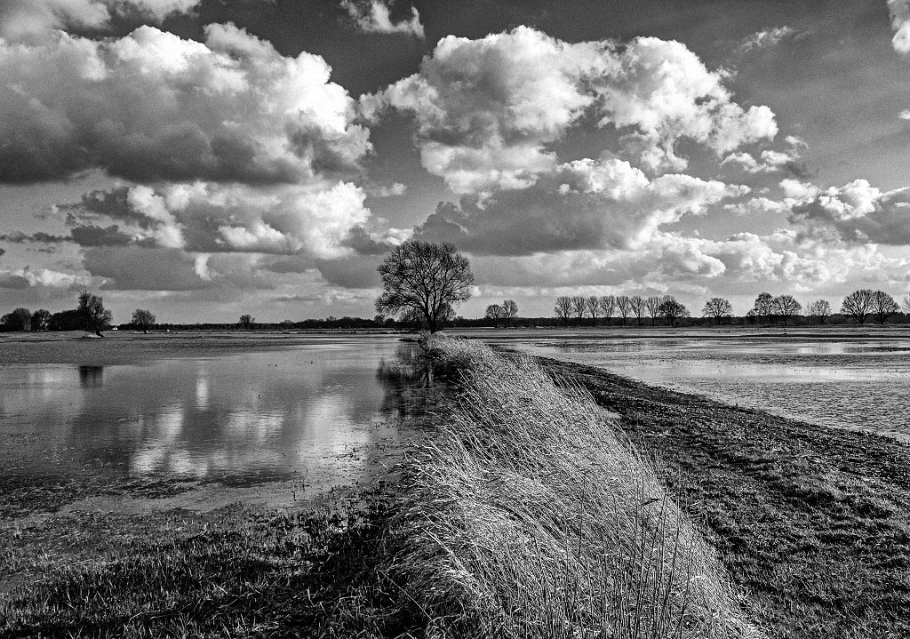 Tipps für die Schwarz Weiss Fotografie | RoHa Arts Fotografie